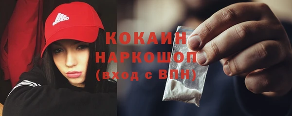 хмурый Алексин