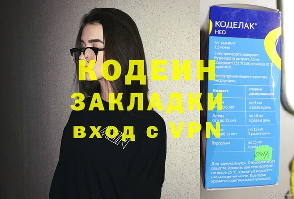 хмурый Алексин