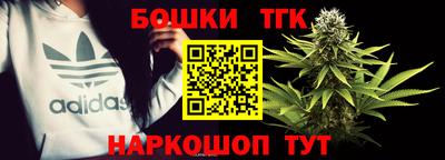 тгк Моздок