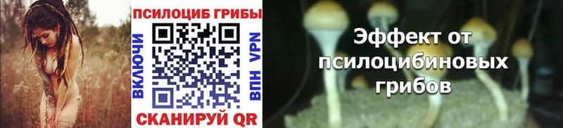 Псилоцибиновые грибы мухоморы  Феодосия 