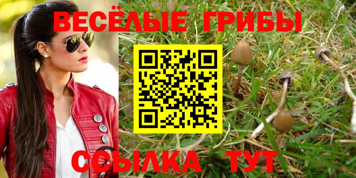 Псилоцибиновые грибы мухоморы  где найти наркотики  Феодосия  Вход с VPN 
