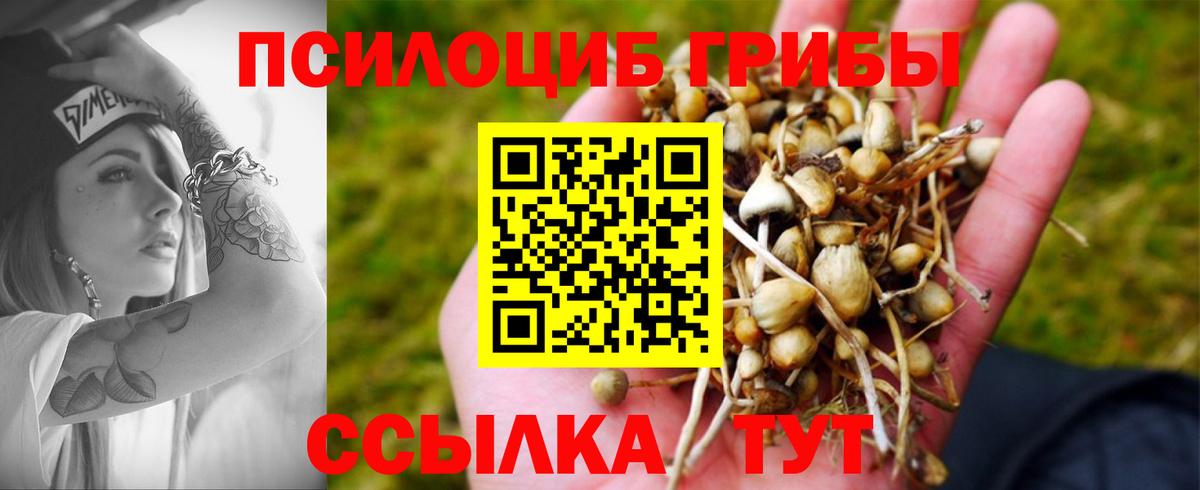 Галлюциногенные грибы Magic Shrooms Феодосия